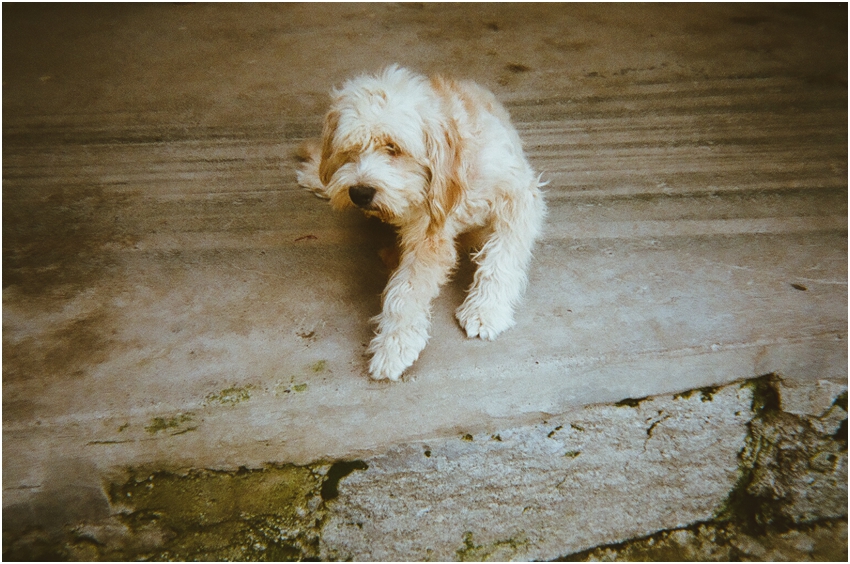 2014-06-22_032