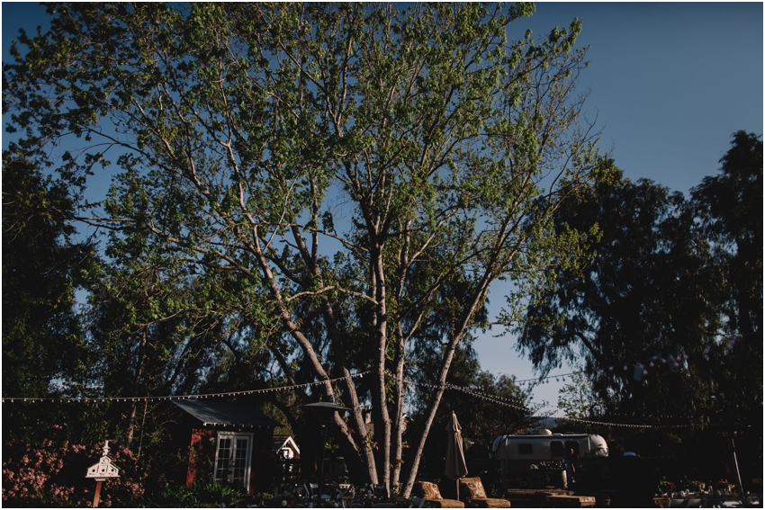 2017-04-19_109