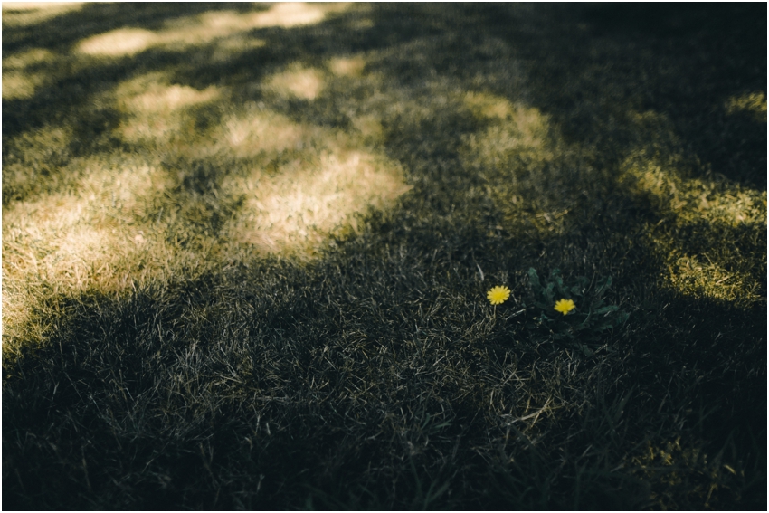 2017-09-20_004