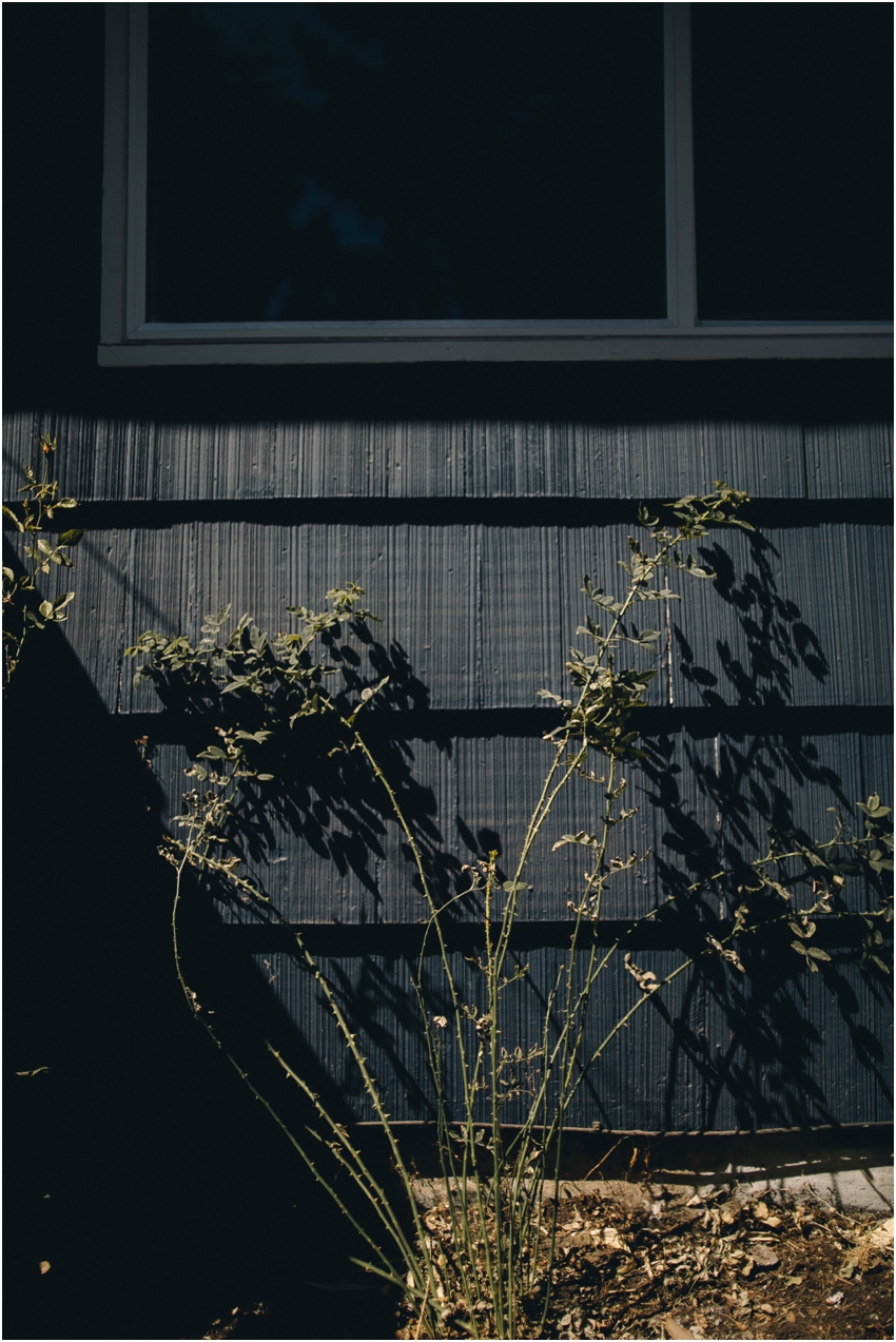 2017-09-20_006