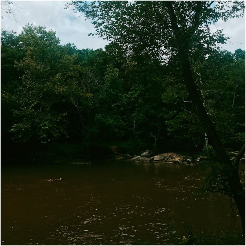 2018-08-14_296