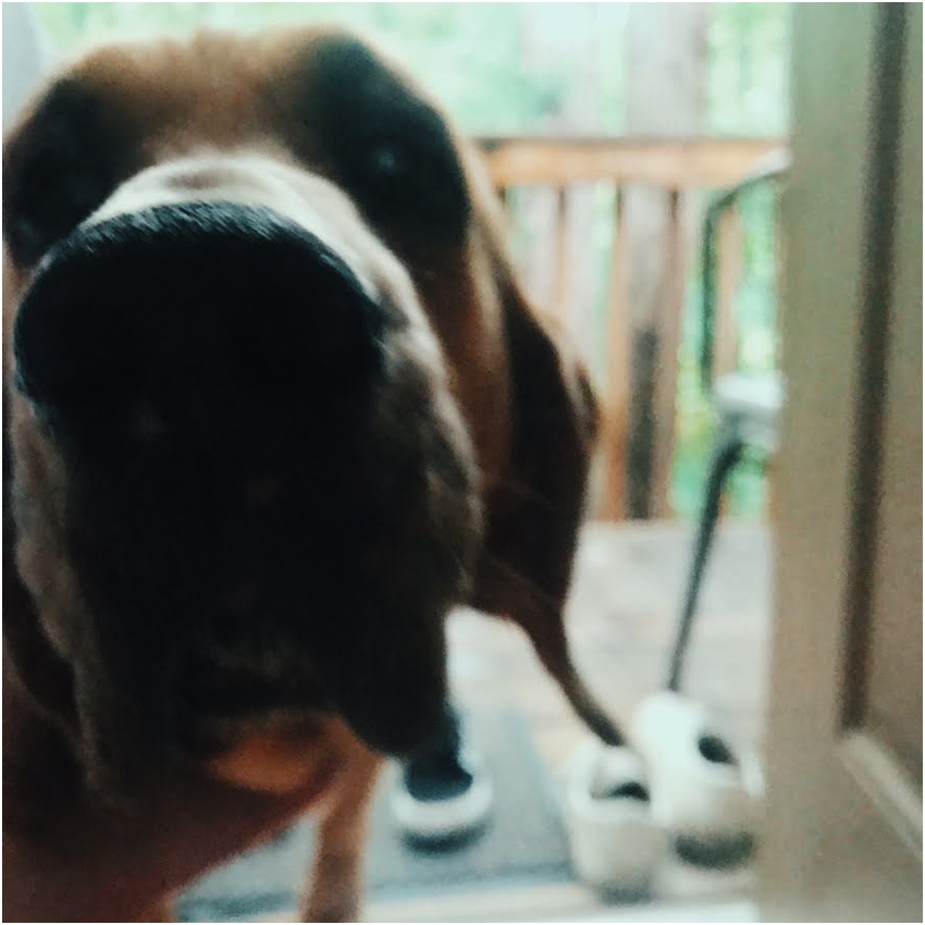 2018-08-14_304
