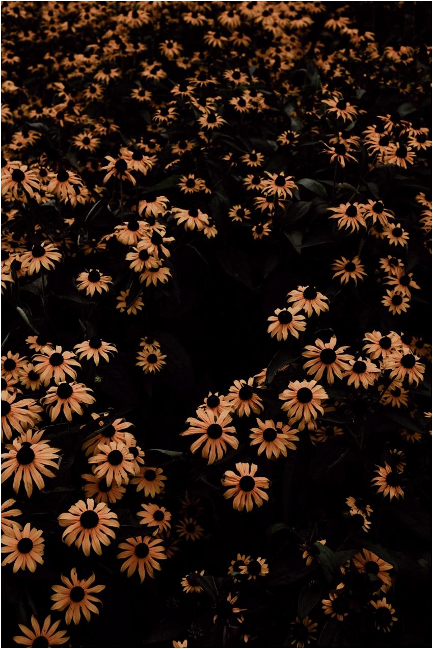 2018-10-18_049