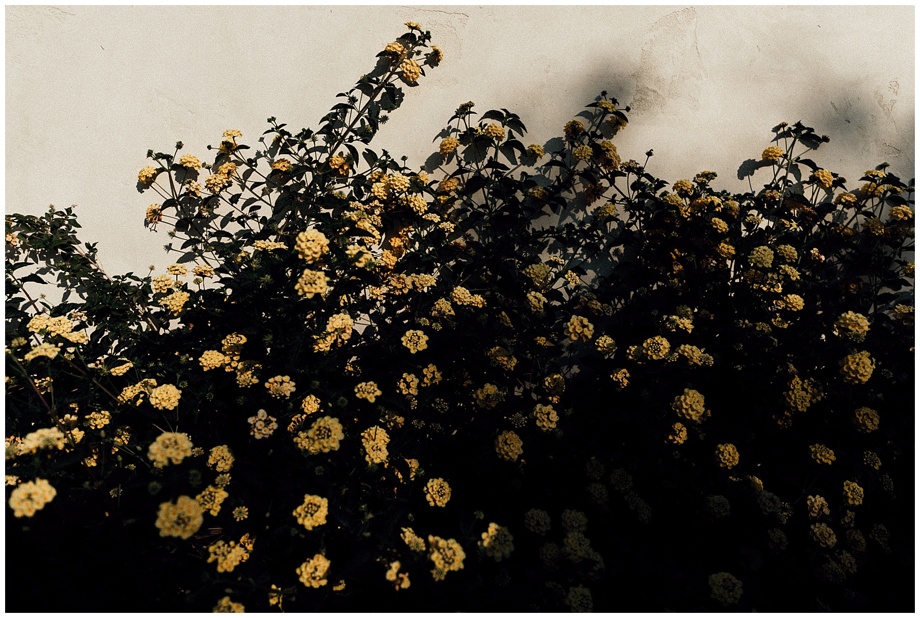 2019-03-12_0027