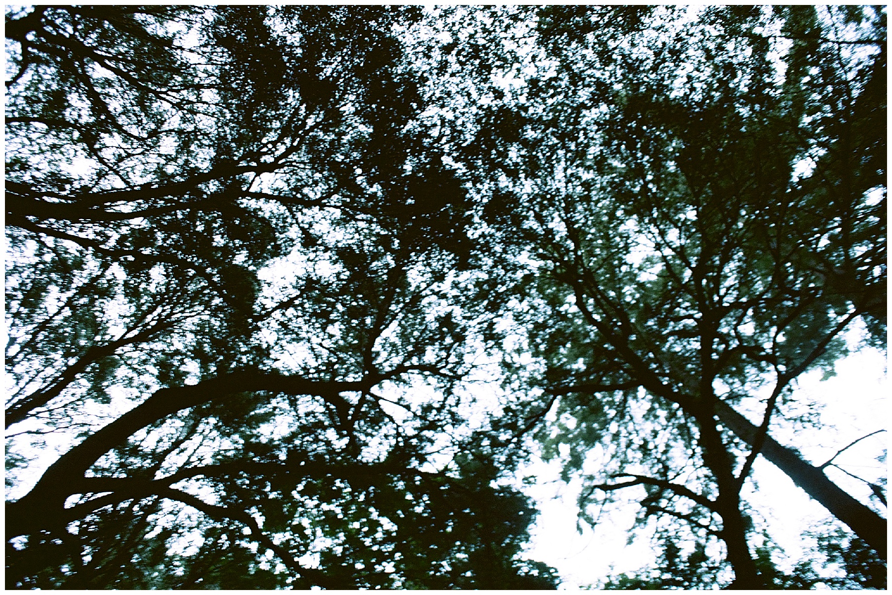 2019-10-01_0029