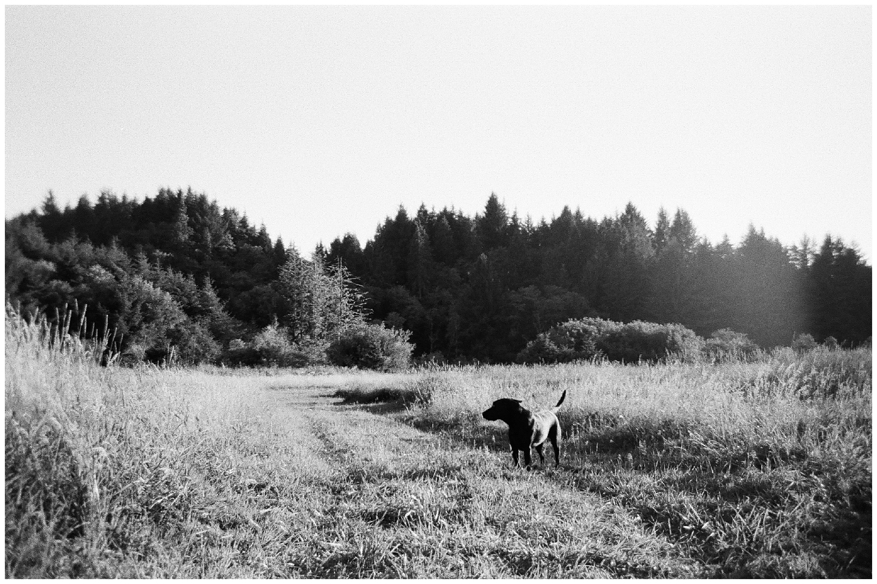 2019-10-01_0075