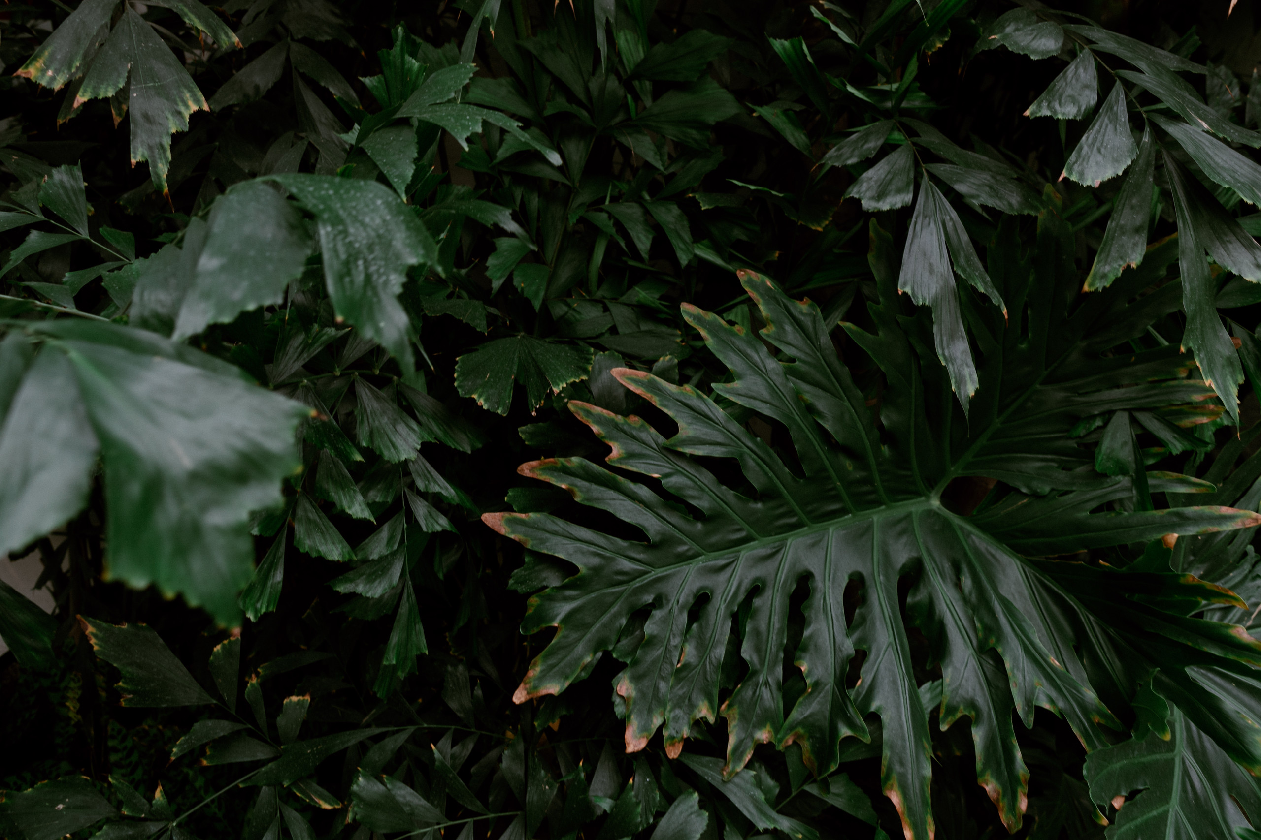 KenzieKatePhoto_RyanandChristine_0384-X5