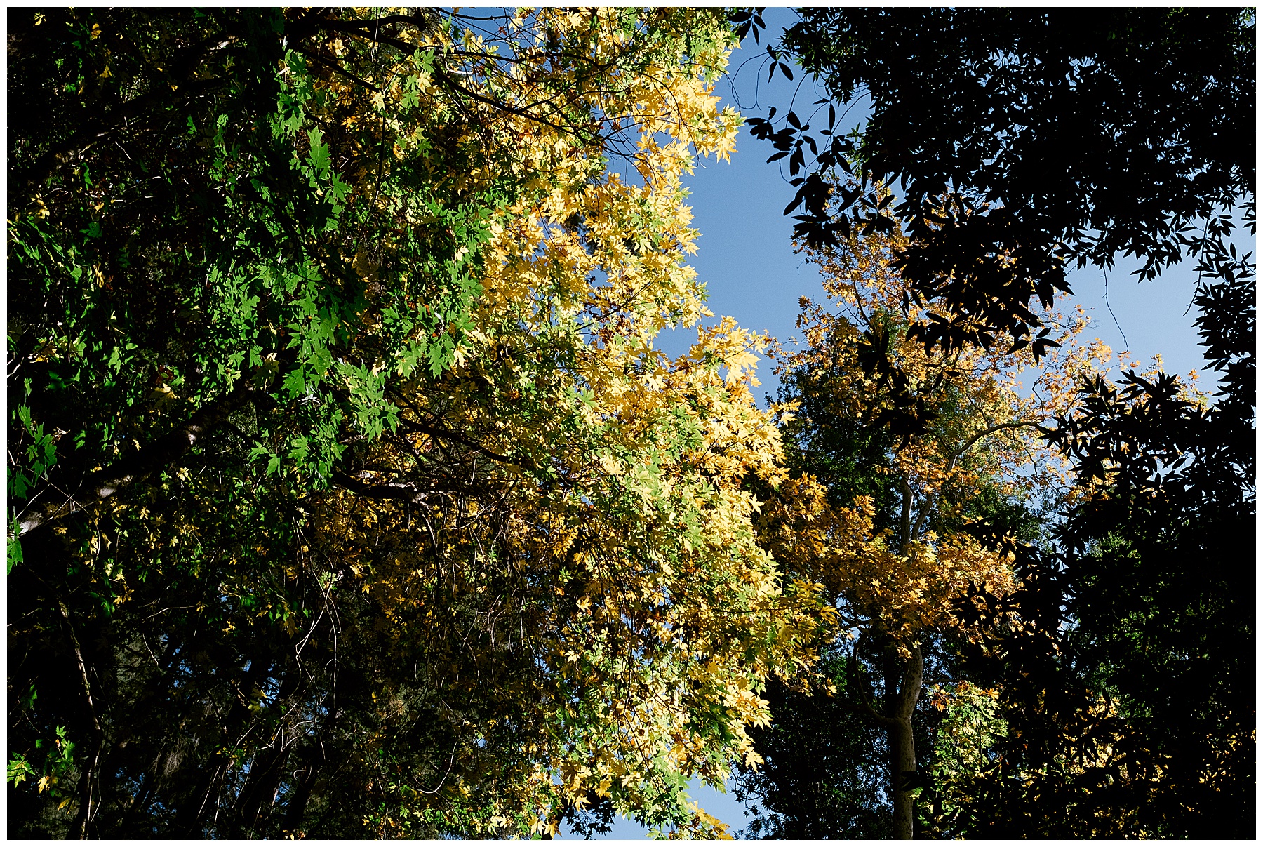 2019-11-20_0009