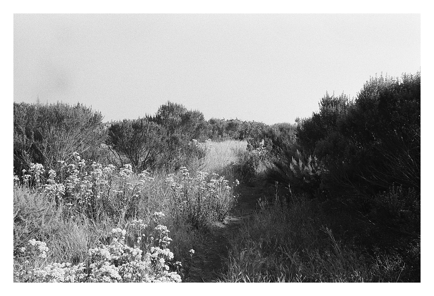 2020-07-17_0146