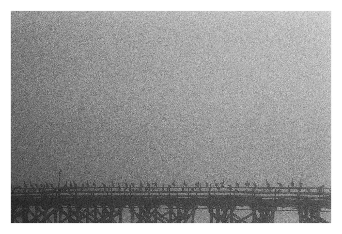 2020-07-17_0148